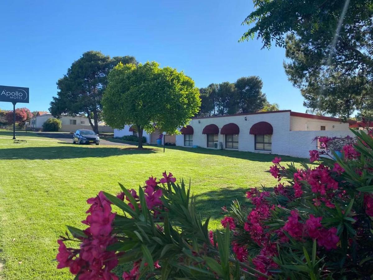 Apollo Motel Parkes Esterno foto