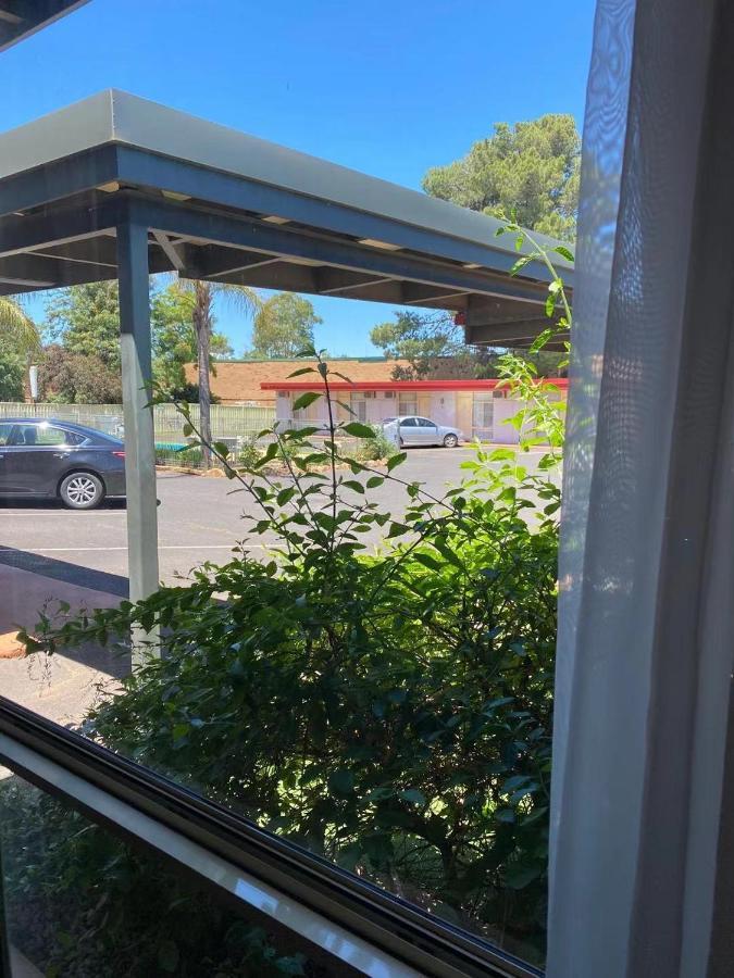 Apollo Motel Parkes Esterno foto