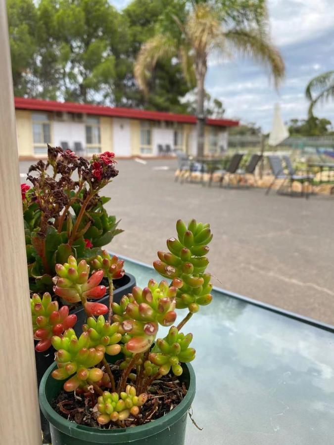 Apollo Motel Parkes Esterno foto