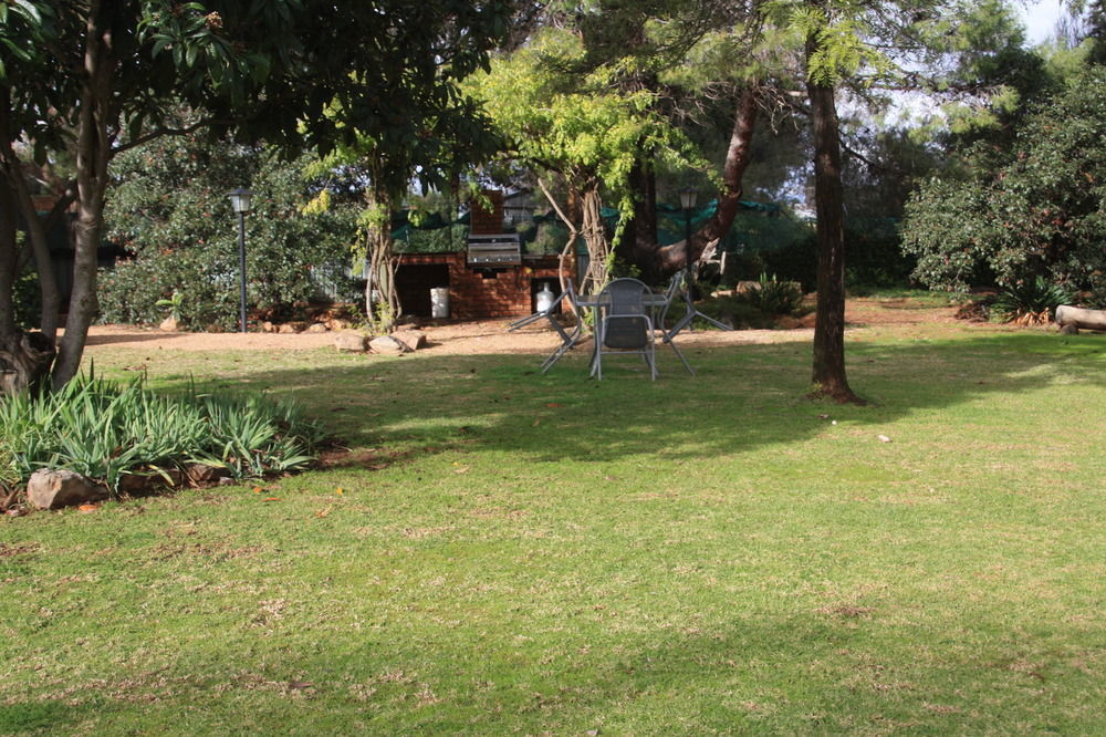 Apollo Motel Parkes Esterno foto